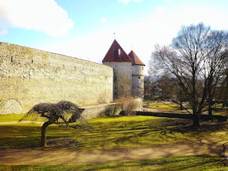 Самонаводящиеся тур в Таллин Легенды старого города